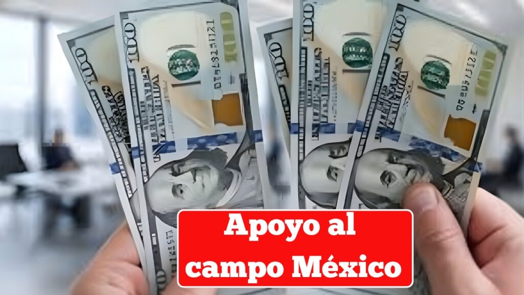 Apoyo al campo México 2026: montos, registro y calendario de pagos enero-febrero
