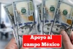 Apoyo al campo México 2026: montos, registro y calendario de pagos enero-febrero
